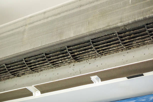 Best Home Air Vent Cleaning  in Moses Lake, WA